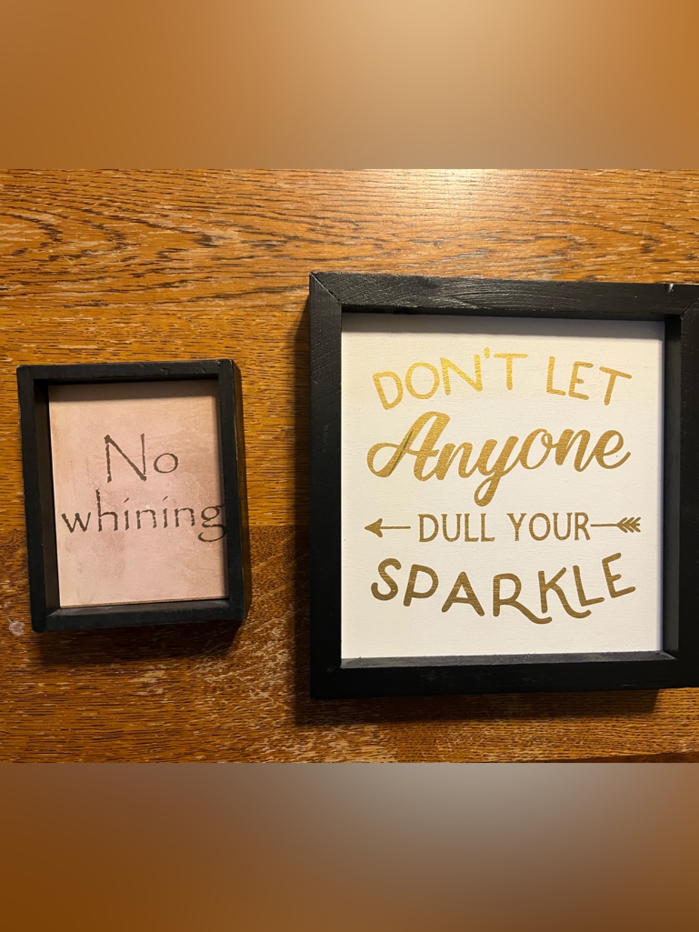LAST CHANCE!  Bundle - Two funny wooden signs